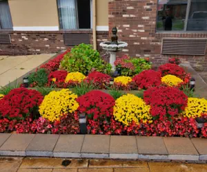 Photo 2 - Super 8 by Wyndham Sterling Heights/Detroit Area