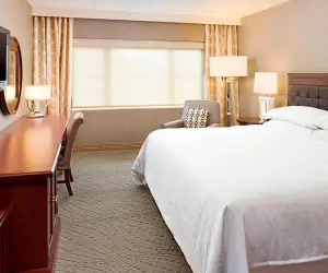 Photo 2 - Sheraton Rockville