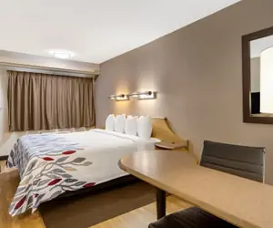 Photo 4 - Red Roof Inn Asheville - Biltmore West