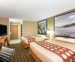 Photo 5 - Super 8 by Wyndham Ottawa