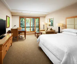 Photo 5 - Sheraton La Jolla