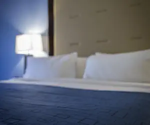 Photo 4 - Holiday Inn Express and Suites Edwardsville, an IHG Hotel