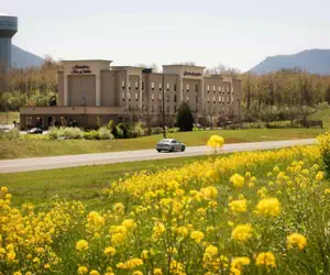 Photo 4 - Hampton Inn and Suites Woodstock, Virginia