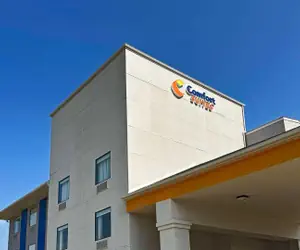 Photo 4 - Comfort Suites Jackson-Cape Girardeau