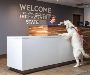 Photo 5 - Hampton Inn & Suites Rapid City Rushmore, SD