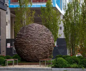 Photo 2 - The Lloyd Stamford, Tapestry Collection by Hilton