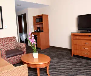 Photo 4 - Hilton Garden Inn Chesapeake/Suffolk