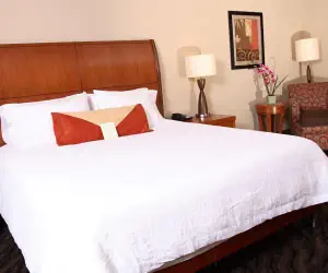 Photo 3 - Hilton Garden Inn Chesapeake/Suffolk