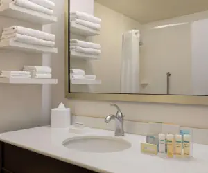 Photo 5 - Hampton Inn & Suites - Roanoke-Downtown, VA