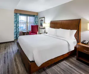 Photo 3 - Hilton Garden Inn Roanoke