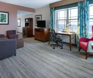 Photo 4 - Hilton Garden Inn Roanoke