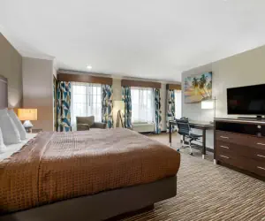 Photo 5 - Best Western Redondo Beach Galleria Inn Hotel - Beach City LA