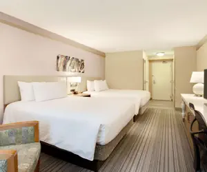 Photo 2 - Hilton Garden Inn Saratoga Springs