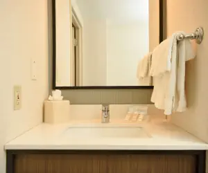 Photo 4 - Hilton Garden Inn Saratoga Springs