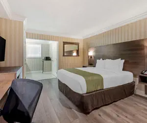 Photo 5 - Quality Inn & Suites Anaheim Maingate