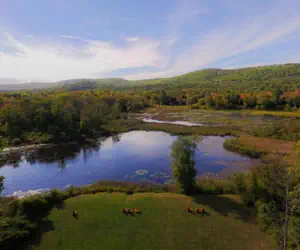 Photo 4 - Hampton Inn & Suites Berkshires-Lenox
