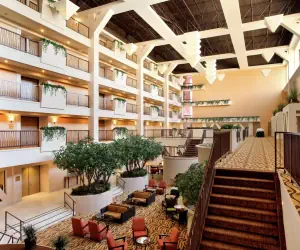 Photo 3 - Hilton Stockton