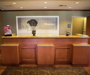 Photo 4 - Hampton Inn Mountain Home