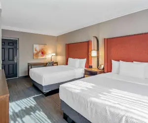 Photo 5 - La Quinta by Wyndham San Francisco Airport North - Free Airport Shuttle