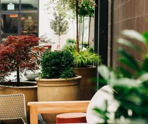 Photo 5 - The Myriad Hotel