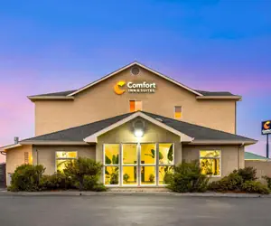 Photo 4 - Comfort Inn & Suites Redwood Country