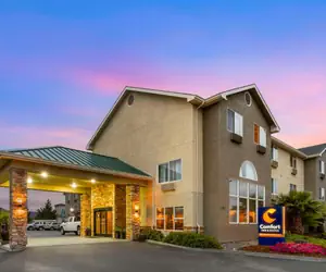 Photo 5 - Comfort Inn & Suites Redwood Country