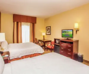 Photo 5 - Hampton Inn & Suites Sevierville at Stadium Drive