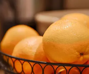 Photo 5 - Best Western Slidell Hotel