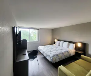 Photo 5 - Motel 6 Jackson, TN