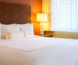 Photo 4 - Baltimore Marriott Inner Harbor at Camden Yards