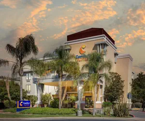 Photo 3 - Comfort Suites Vacaville-Napa Valley Area