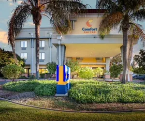 Photo 5 - Comfort Suites Vacaville-Napa Valley Area