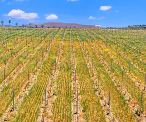 Photo 3 - Hampton Inn & Suites by Hilton Hemet Menifee Murrieta