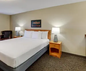 Photo 4 - Stoney Creek Hotel Moline