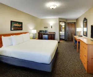 Photo 2 - Stoney Creek Hotel Moline