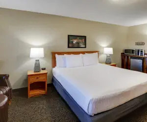 Photo 3 - Stoney Creek Hotel Moline