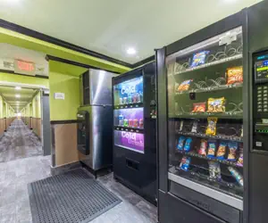 Photo 3 - Quality Inn & Suites