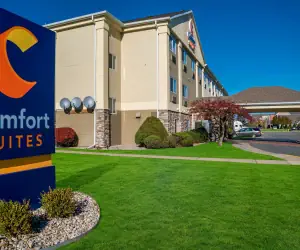 Photo 3 - Comfort Suites- Saginaw