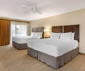 Photo 5 - Best Western Plus Monterey Inn