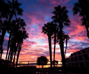 Photo 4 - Coronado Island Marriott Resort & Spa