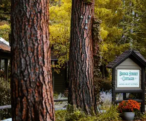 Photo 3 - Bridge Street Cottages