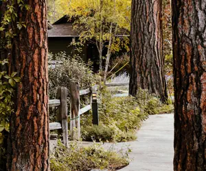 Photo 2 - Bridge Street Cottages