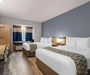 Photo 5 - Microtel Inn and Suites - Zephyrhills