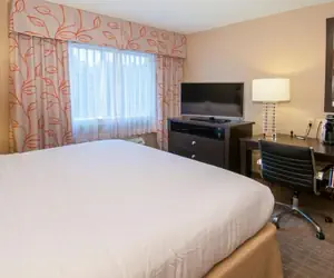 Photo 2 - Holiday Inn Hotel & Suites Slidell, an IHG Hotel