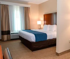 Photo 3 - Comfort Inn & Suites Patriots Point