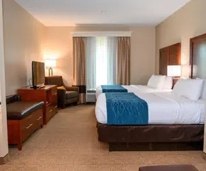 Photo 4 - Comfort Inn & Suites Patriots Point