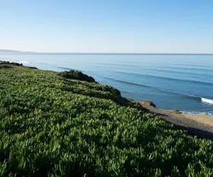 Photo 4 - DoubleTree by Hilton San Diego Del Mar