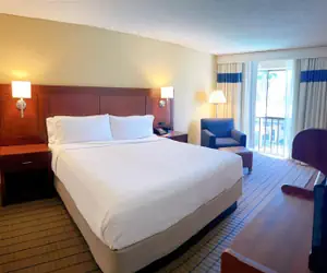 Photo 5 - Four Points by Sheraton San Rafael Marin County