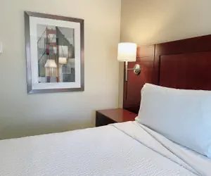 Photo 3 - Four Points by Sheraton San Rafael Marin County