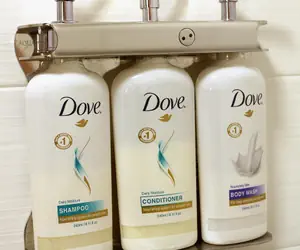 Photo 3 - Holiday Inn Express & Suites S Lake Buena Vista, an IHG Hotel